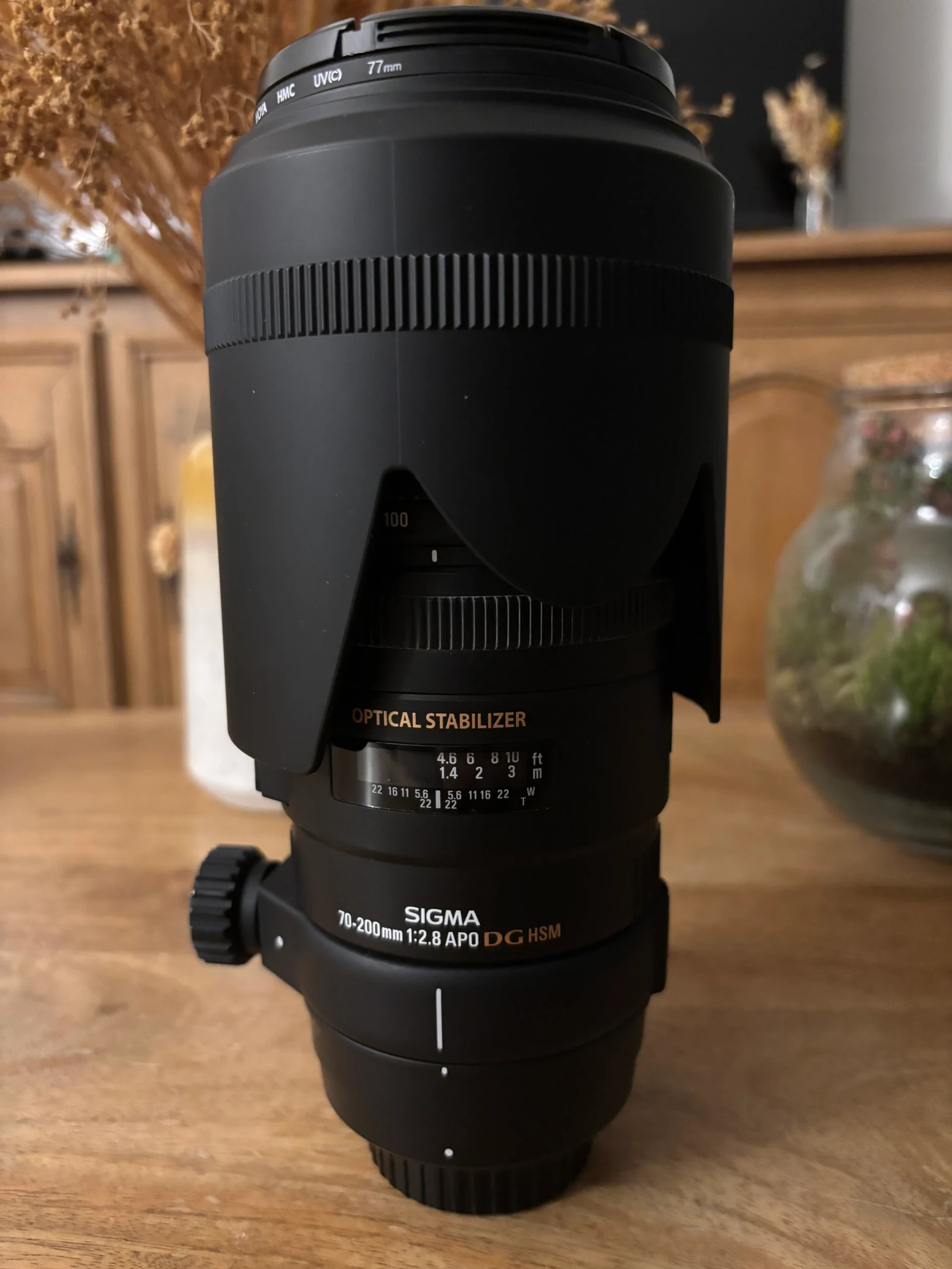 Sigma 70-200mm F/2.8 DG APO EX OS HSM - Photo 2 sur 2