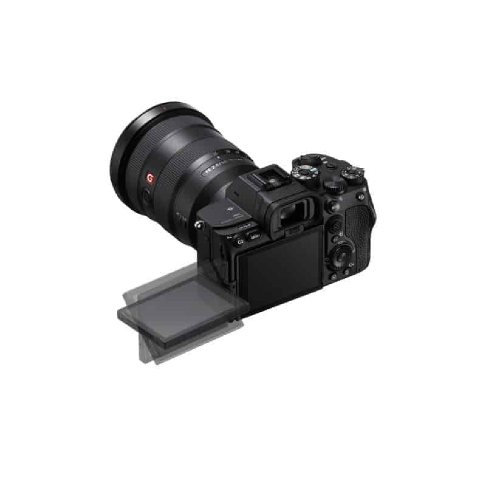 SONY HYBRIDE ALPHA 7S III - Photo 2 sur 3