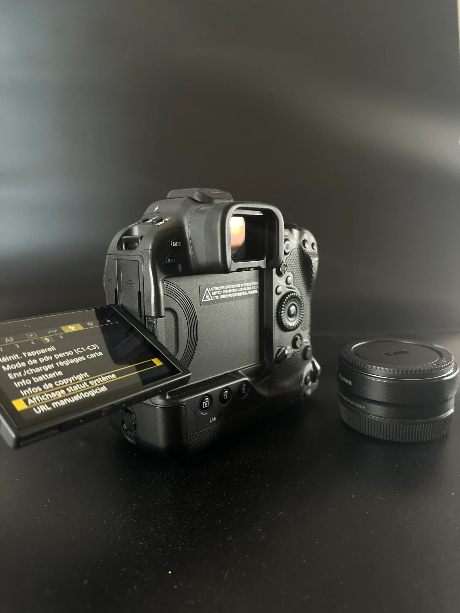 Canon EOS R5 - Photo 2 sur 4