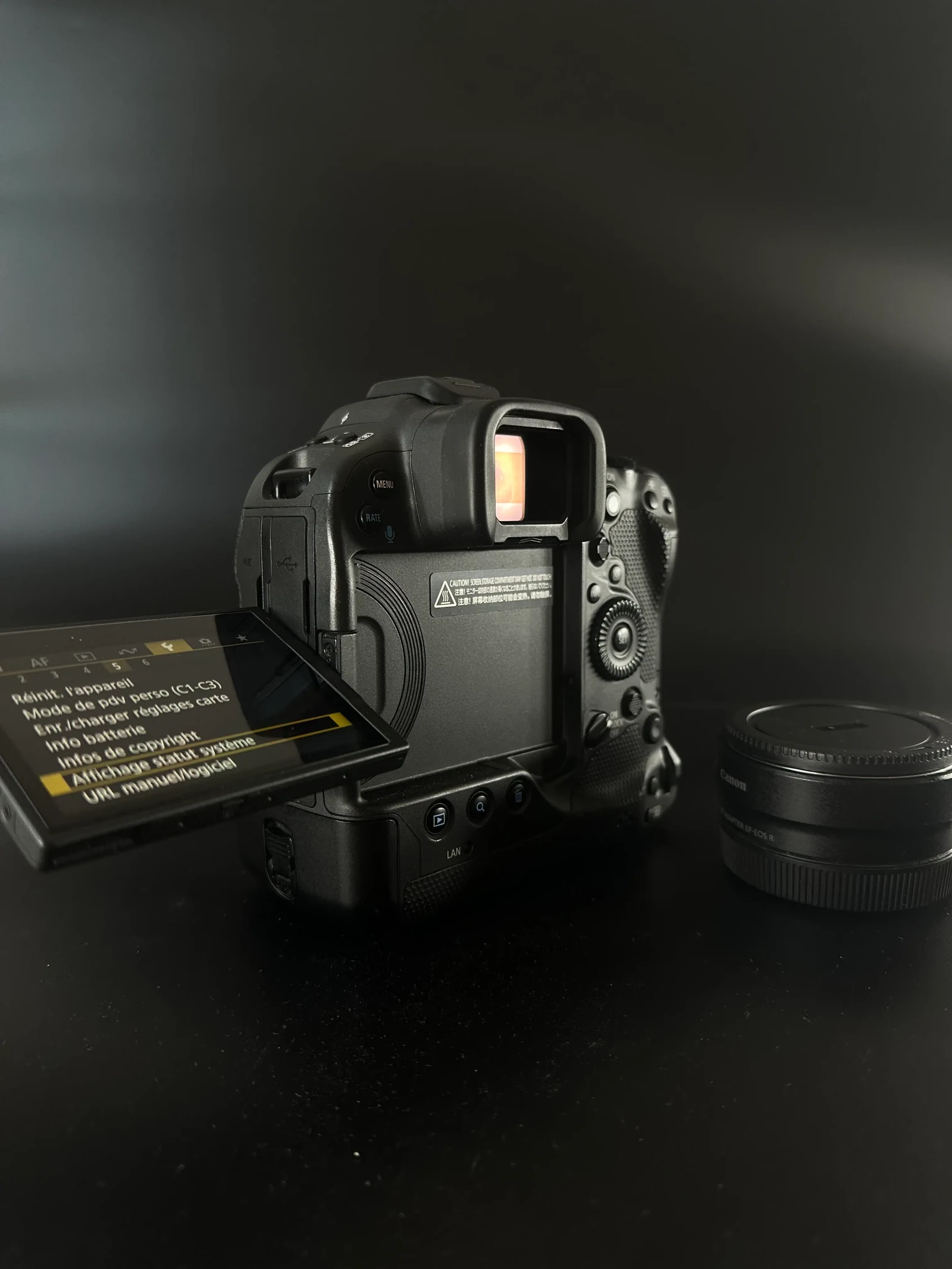 Canon EOS R3 - Photo 2 sur 4