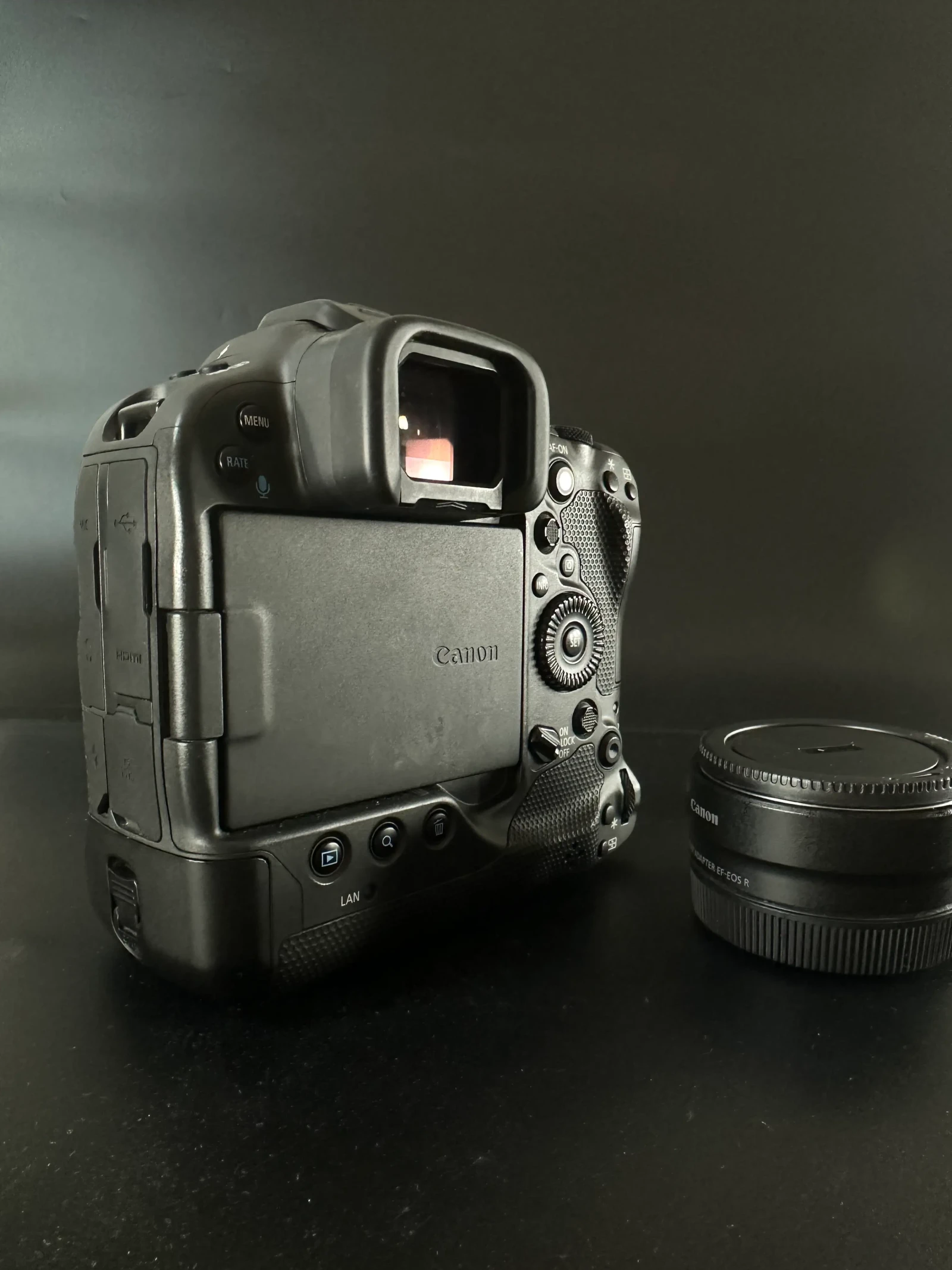 Canon EOS R3 - Photo 3 sur 4