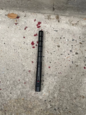 Location Sennheiser ME 66