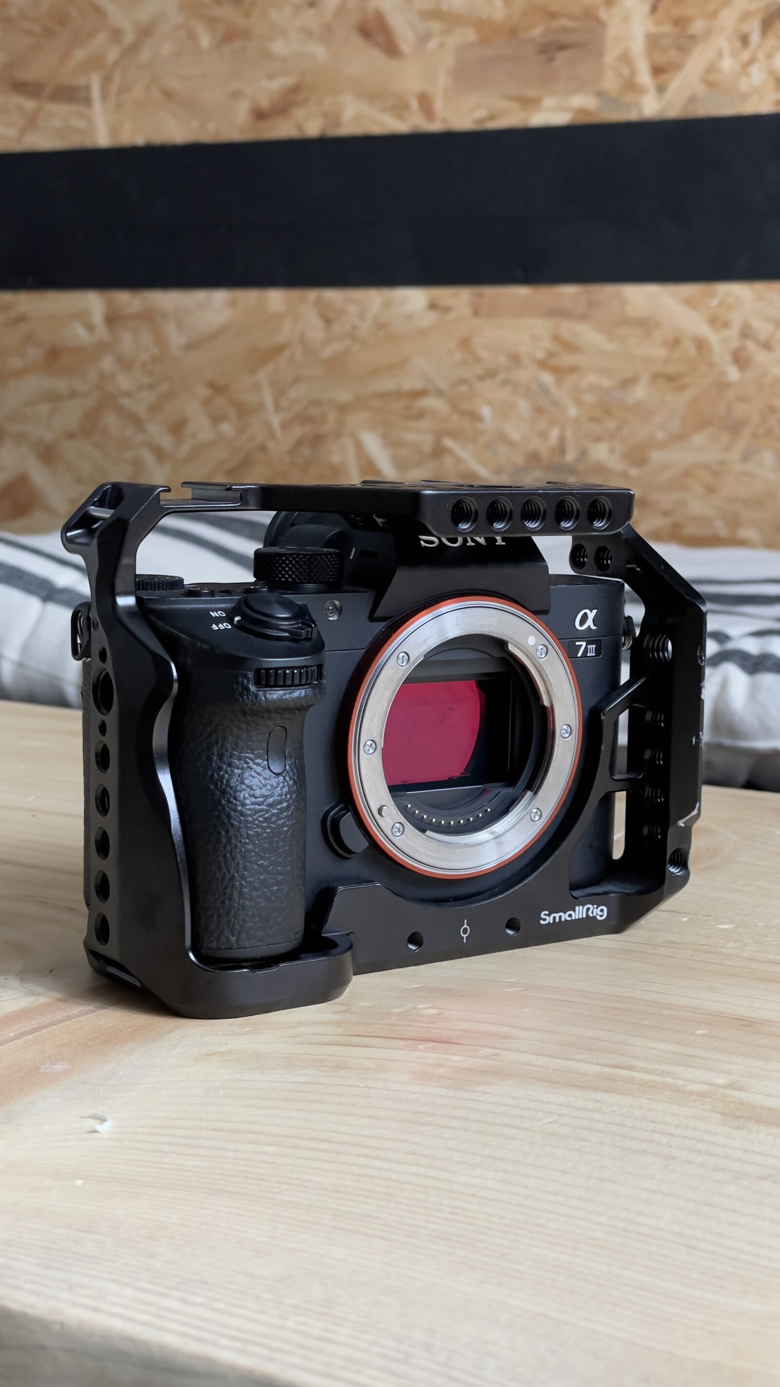 Sony Alpha 7 III (A73) - Photo 1 sur 1