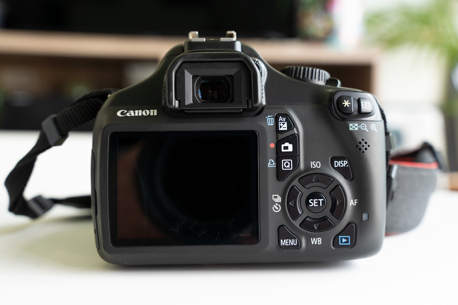 Canon 1100D - Photo 2 sur 3