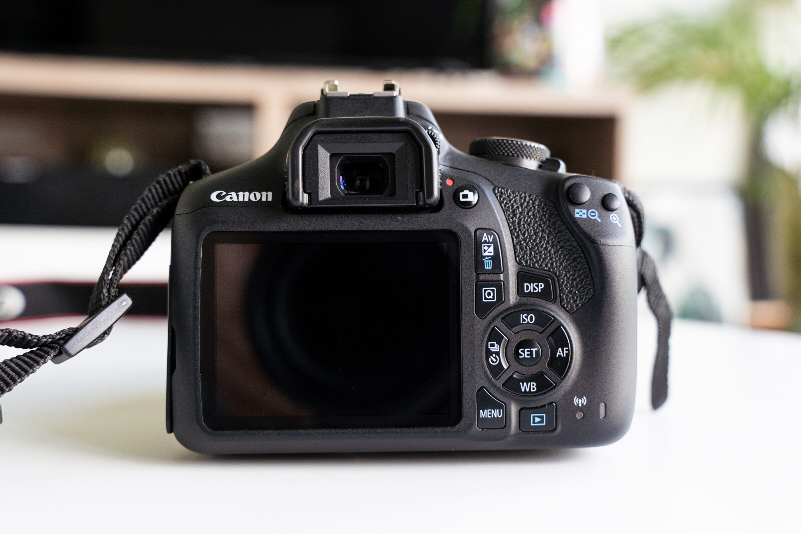 Canon EOS 2000D - Photo 3 sur 3