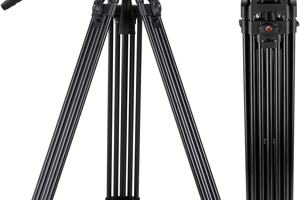 Location cayer BV30L 72 Pouces - Lightyshare