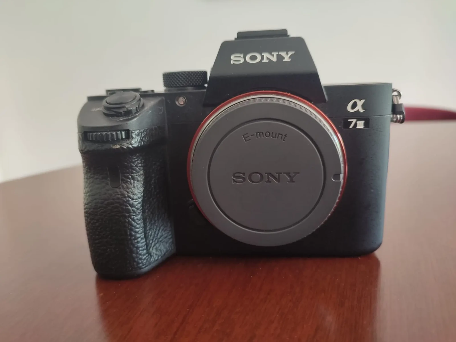 Sony Alpha 7 III - Photo 2 sur 5