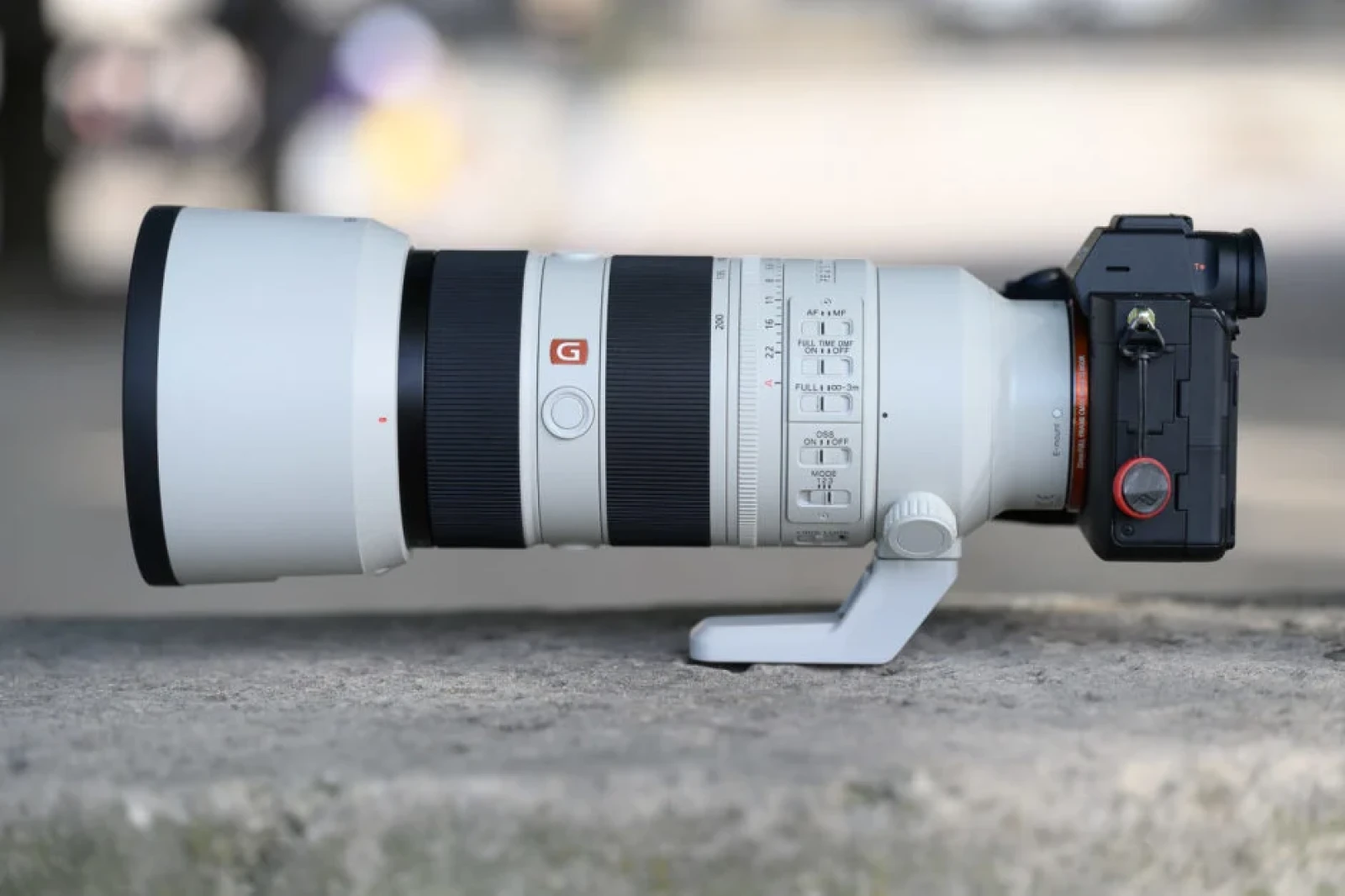 Sony Sony FE 70-200mm F2.8 GM OSS II - Photo 3 sur 3