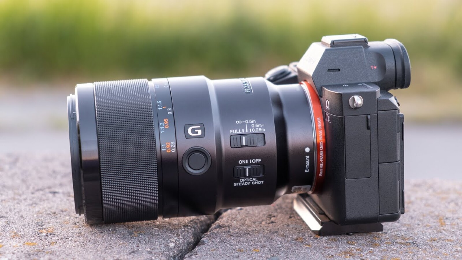 Sony 90mm Macro G F2.8 OSS FE - Photo 2 sur 3