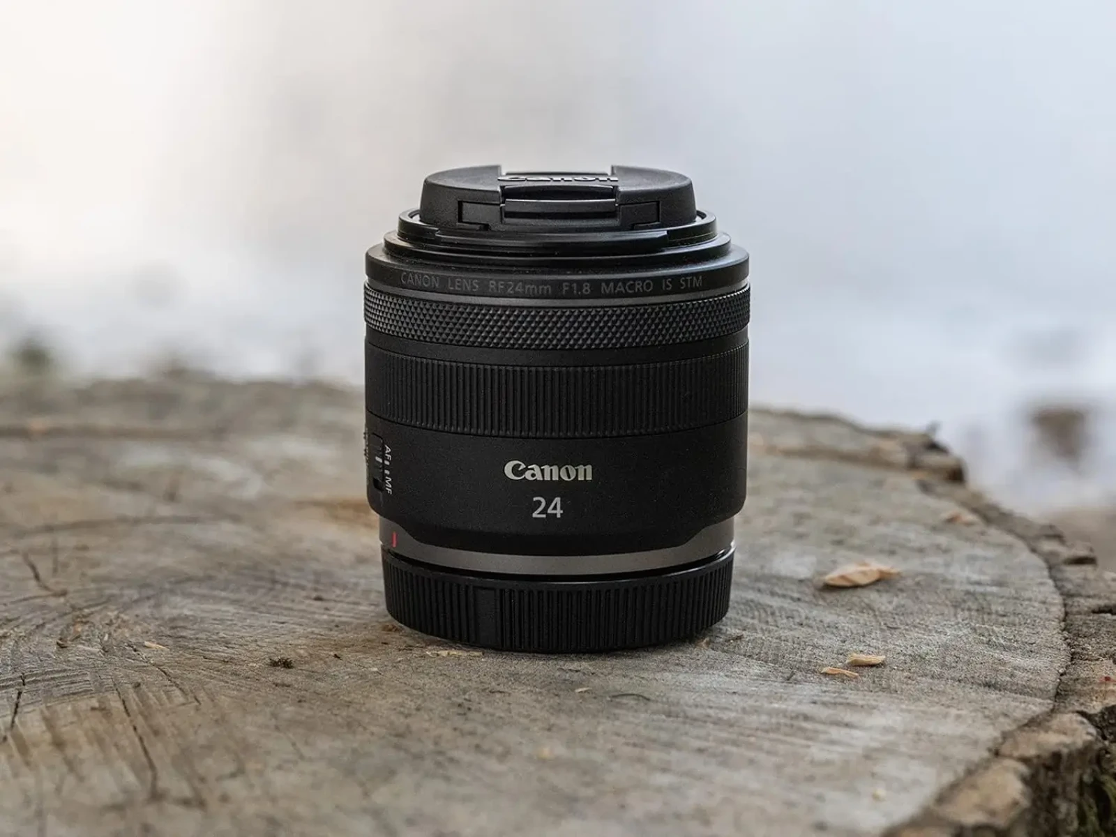 Canon 24mm F/1.8 MACRO IS STM - Photo 4 sur 8