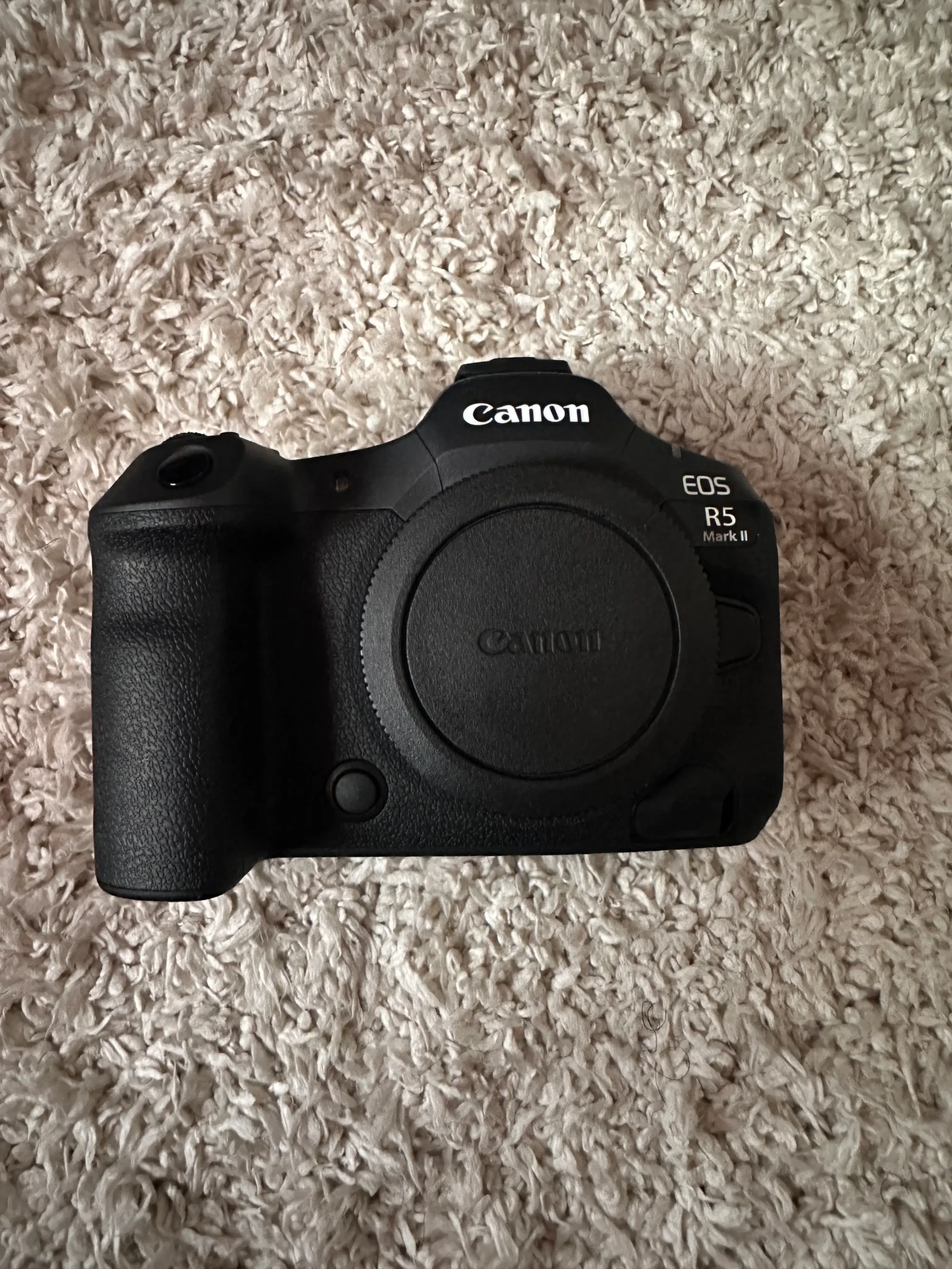 Canon EOS R5 Mark II - Photo 1 sur 1
