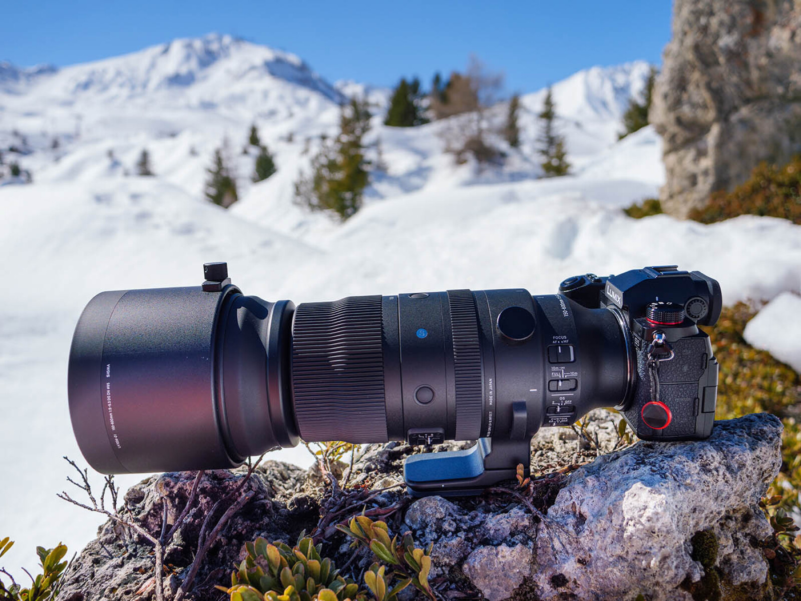 Sigma 150-600mm f/5-6.3 DG DN OS Sports - Photo 1 sur 4