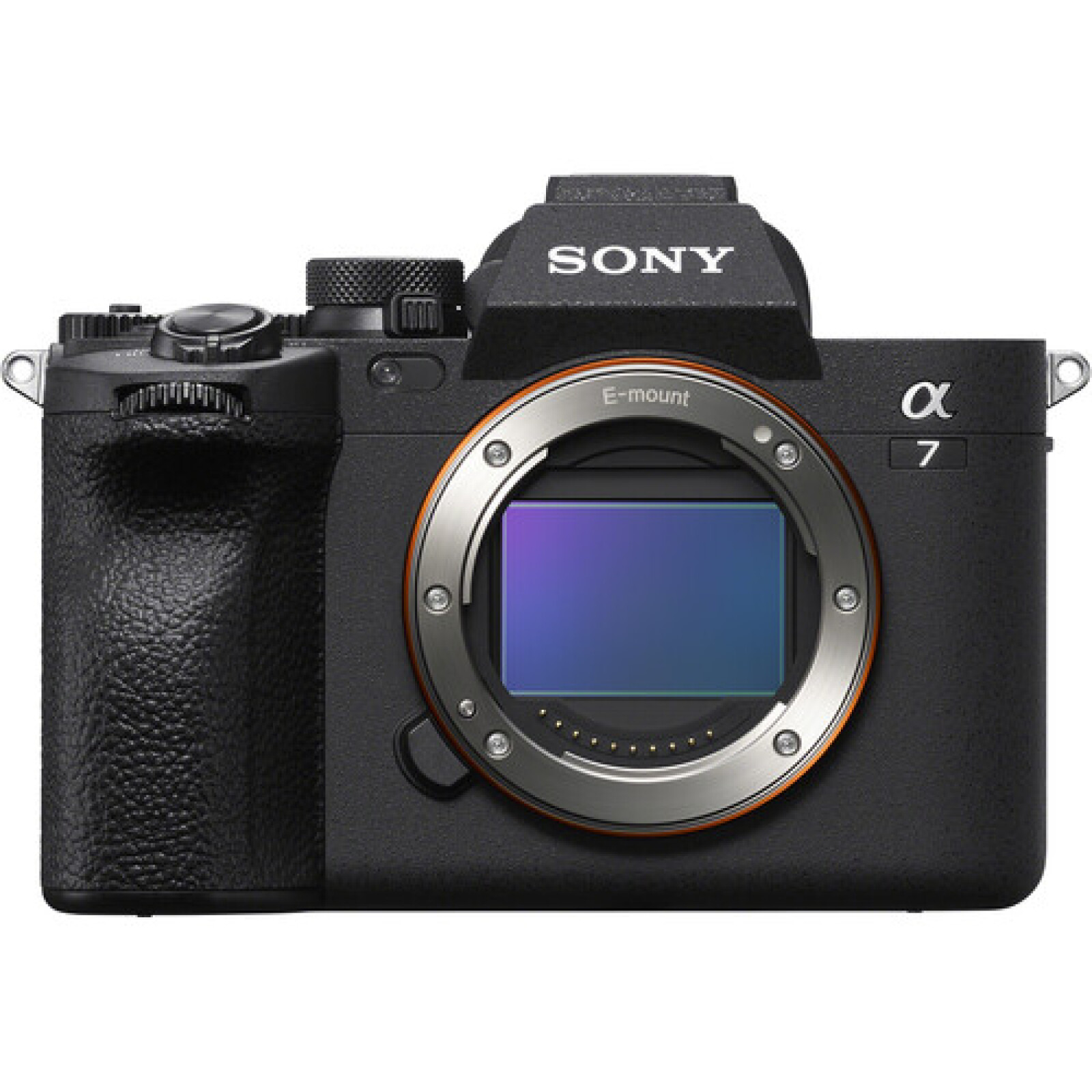 Sony Alpha 7 IV (A74) - Photo 1 sur 5