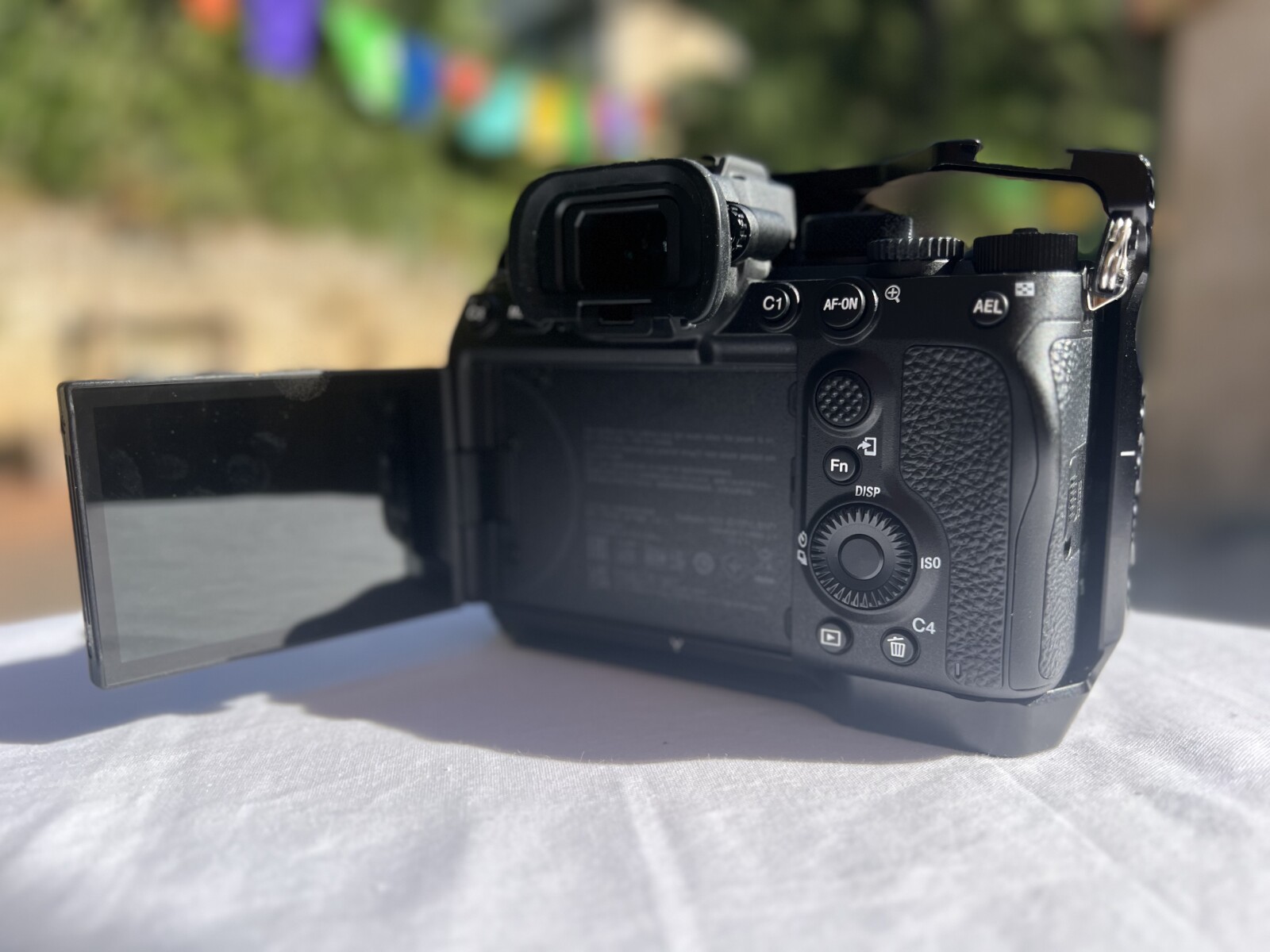 Sony Alpha 7S III (A7S3) - Photo 3 sur 4