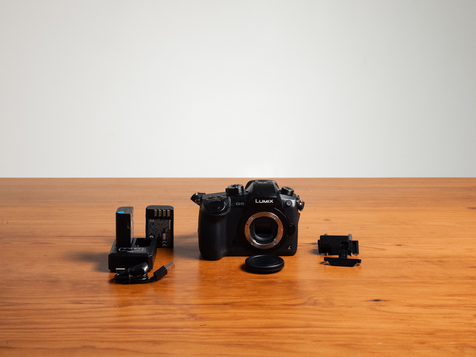 Panasonic LUMIX GH5 - Photo 1 sur 2