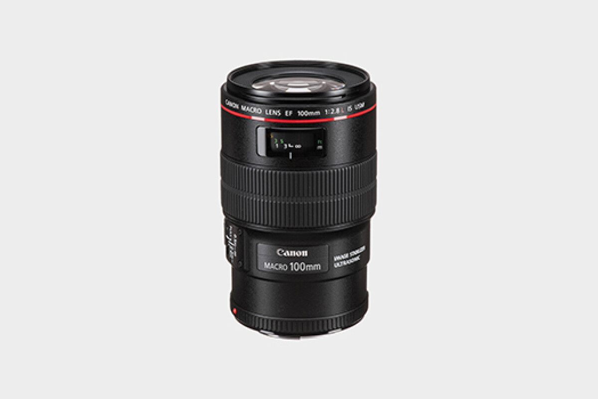 Location Canon EF 100mm f/2.8L Macro IS USM - Lightyshare