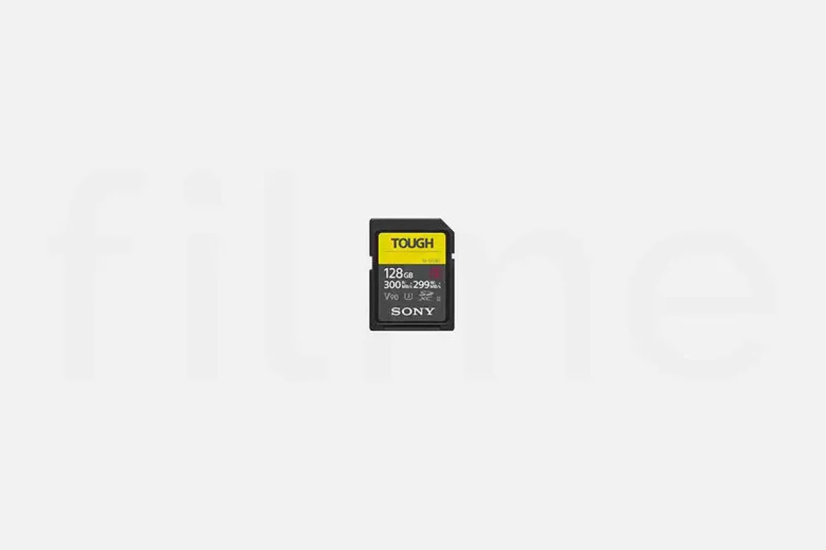 Location Carte SD Sony V90 128 Go - Lightyshare