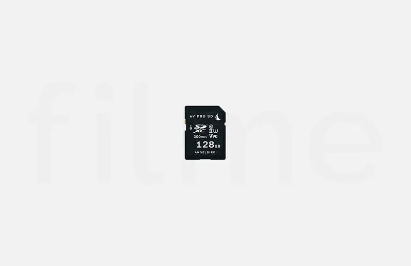 SanDisk SDXC V90 128GB