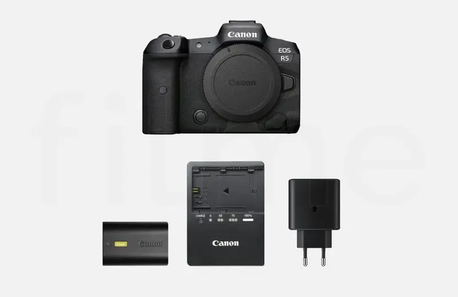 Canon EOS R5 - Photo 1 sur 1