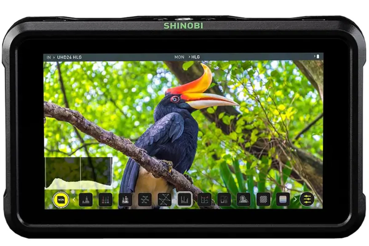 Location Atomos Shinobi - Lightyshare