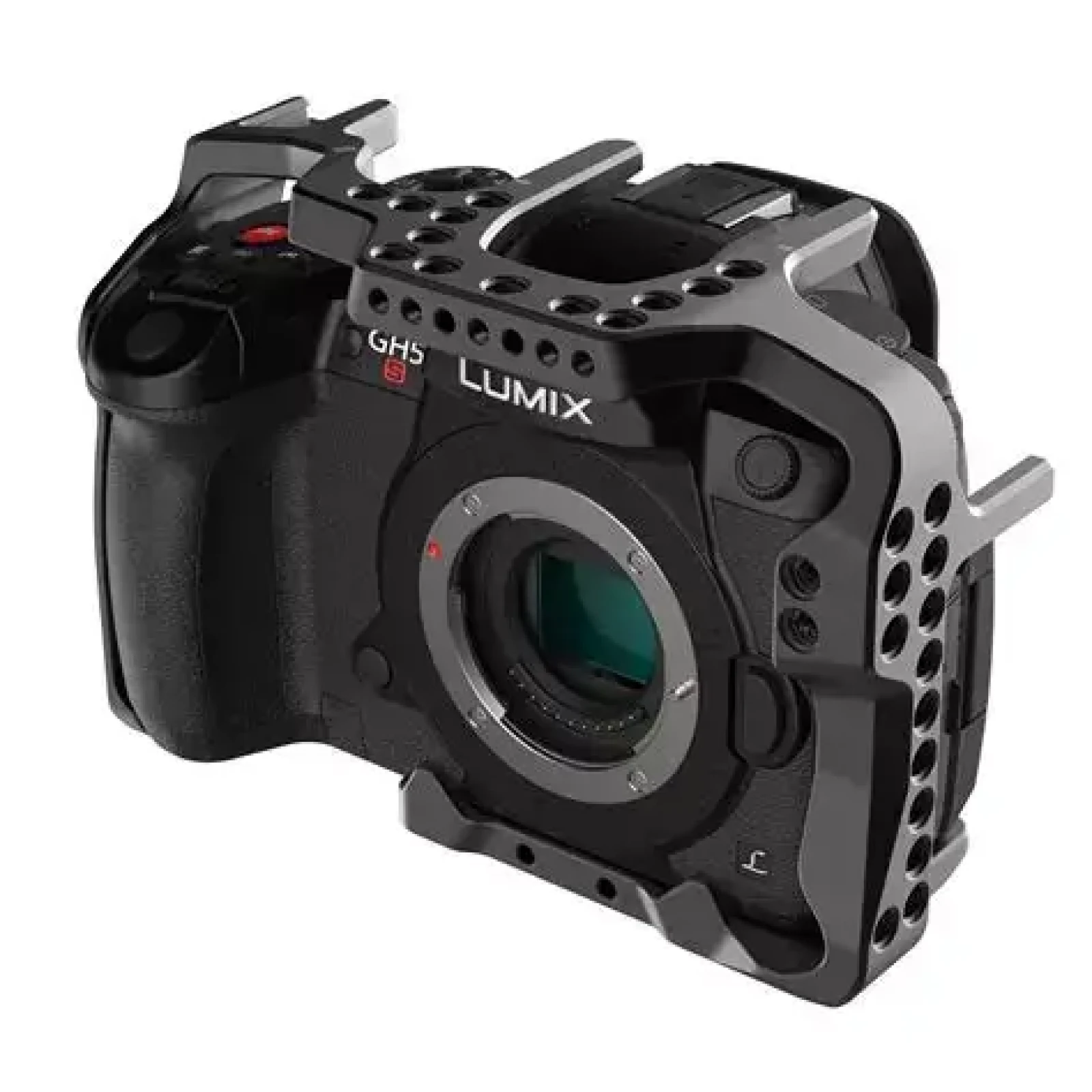 Panasonic LUMIX GH5S - Photo 1 sur 4