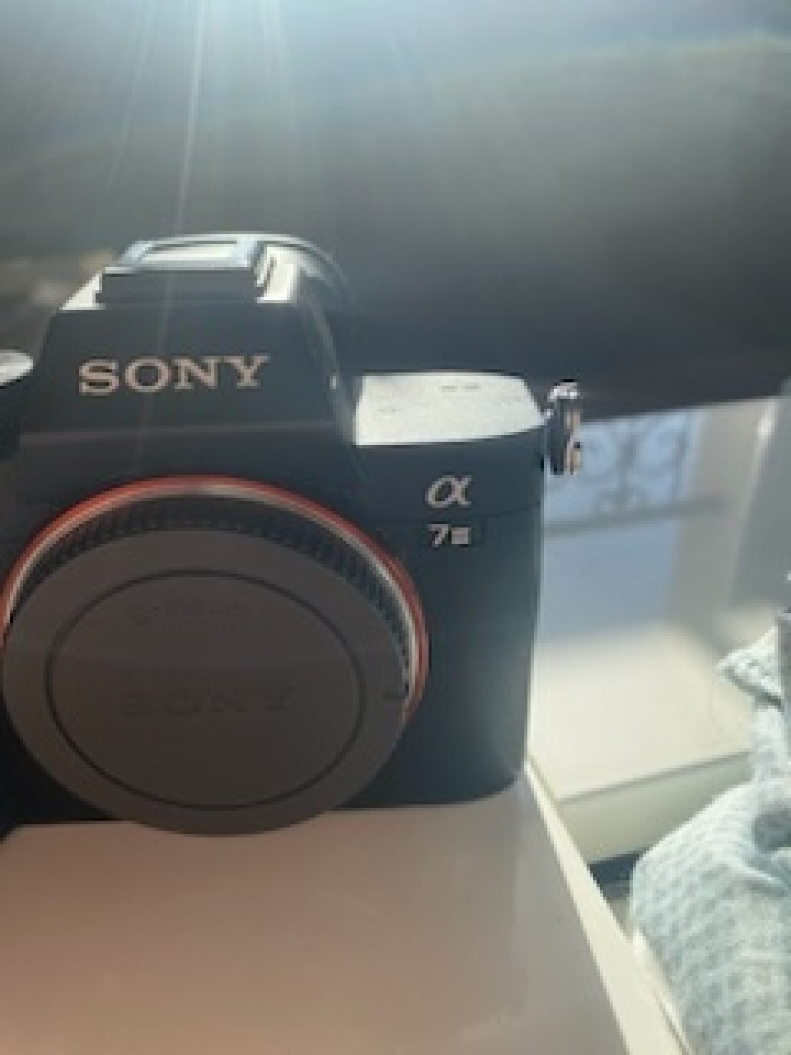 Sony Alpha 7 III (A73) - Photo 1 sur 2