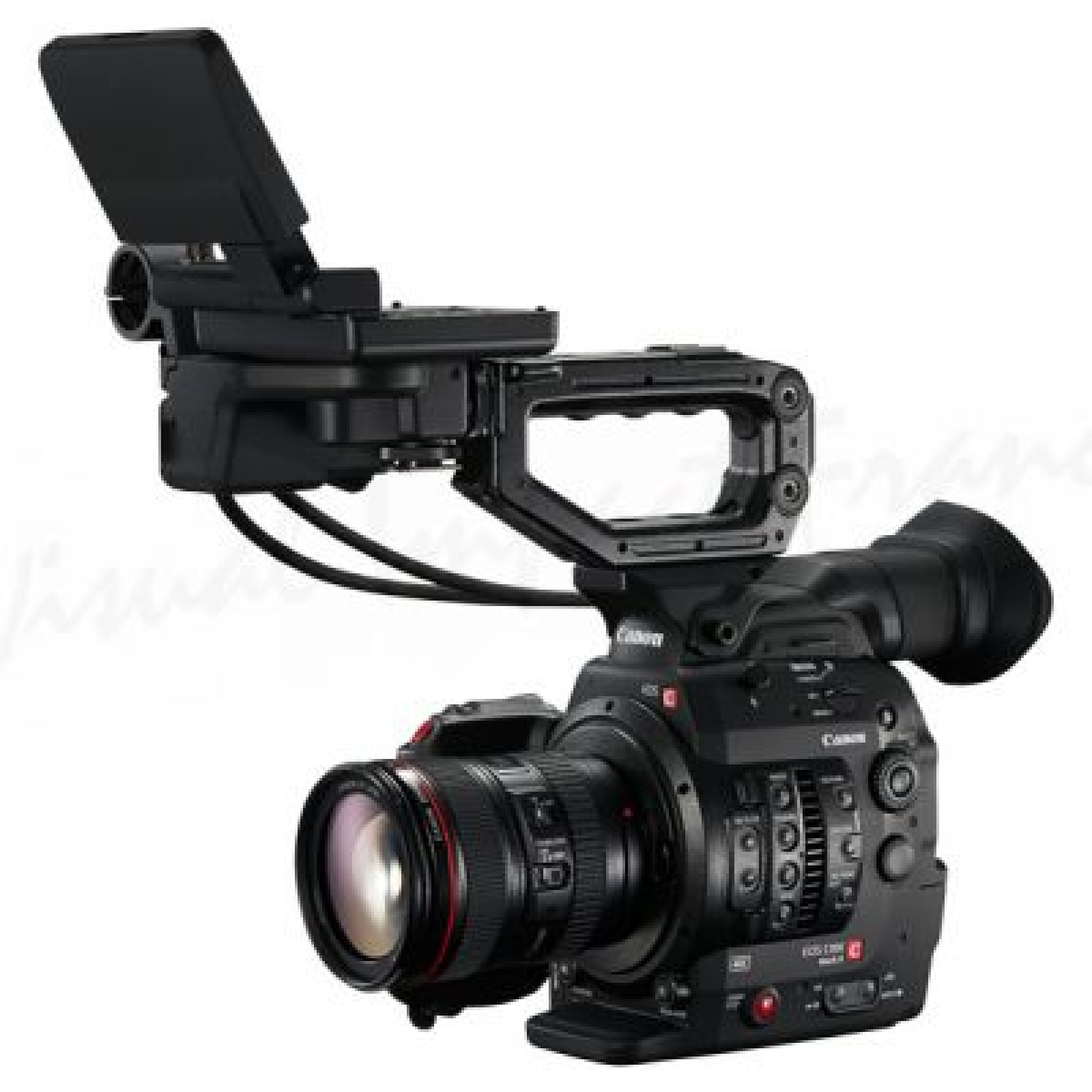 CANON C300 MK2 - Photo 1 sur 1