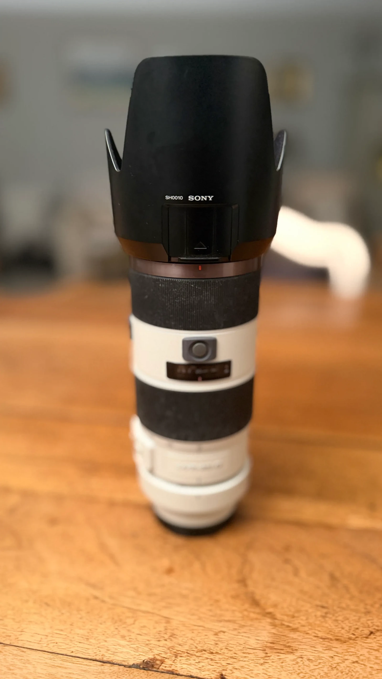 Sony 70-200mm f/2.8 GM OSS - Photo 1 sur 3