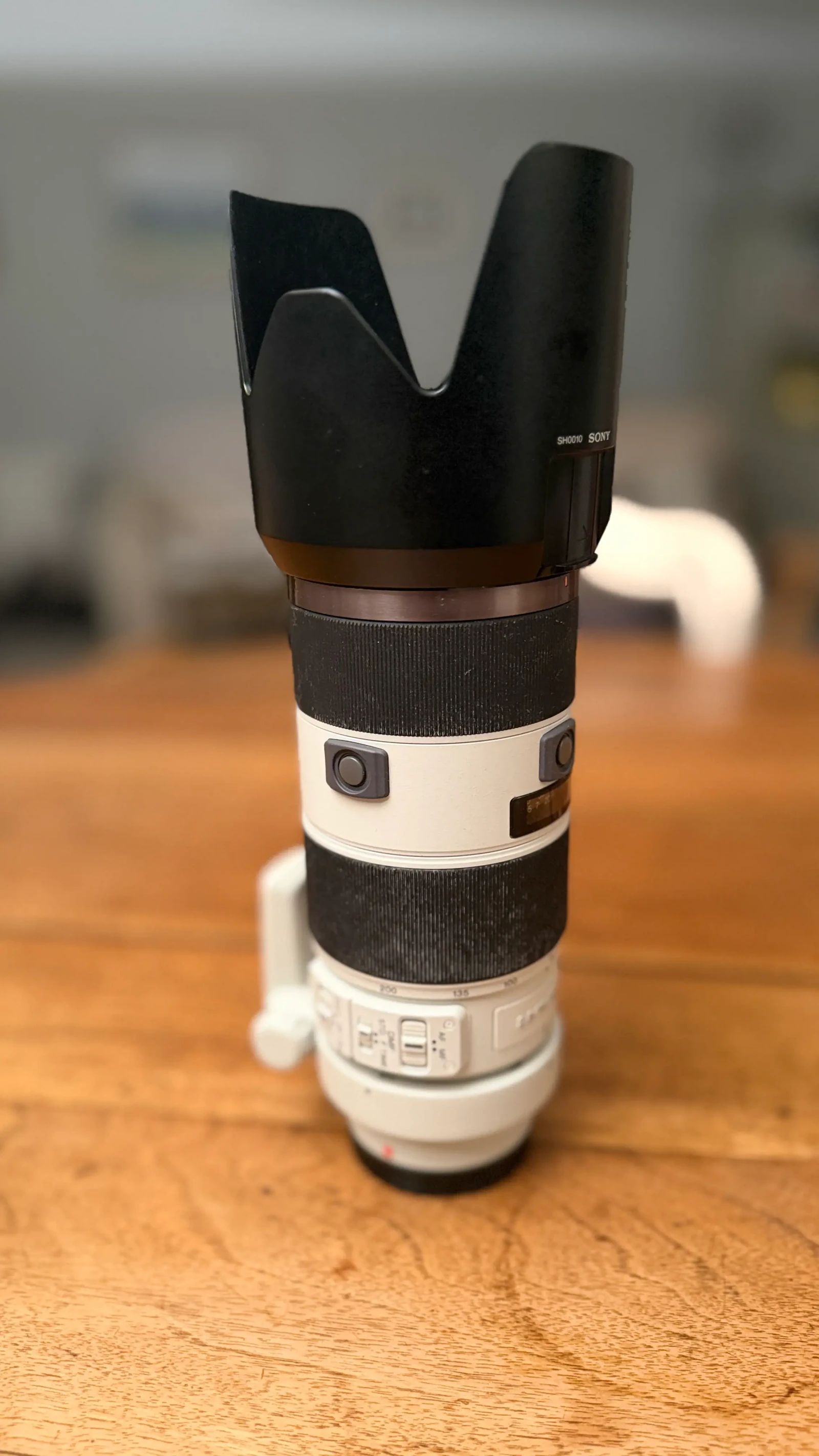 Sony 70-200mm f/2.8 GM OSS - Photo 3 sur 3