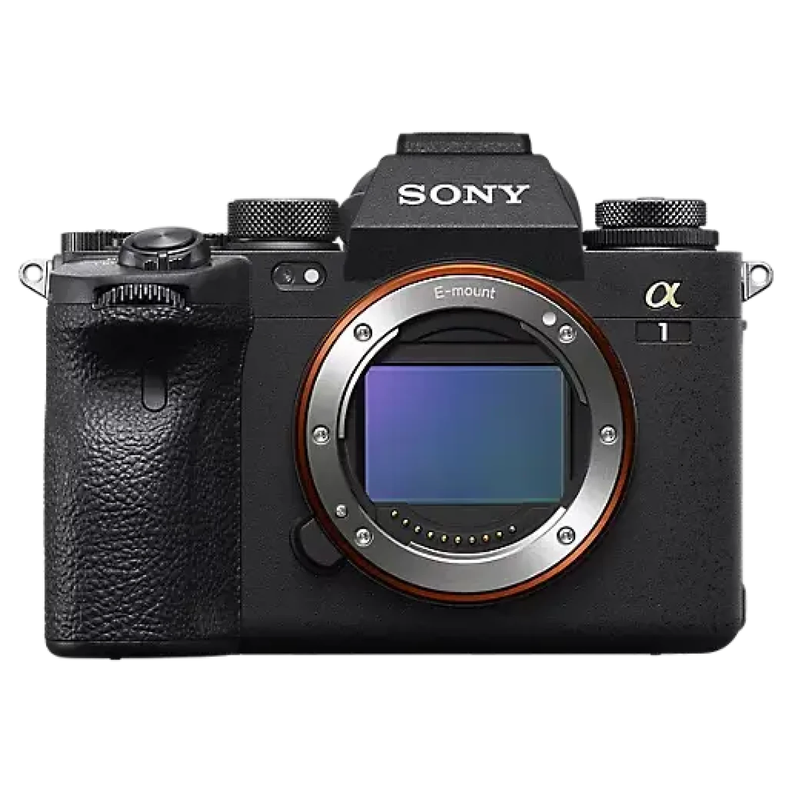 Sony Alpha 1 - Photo 1 sur 1