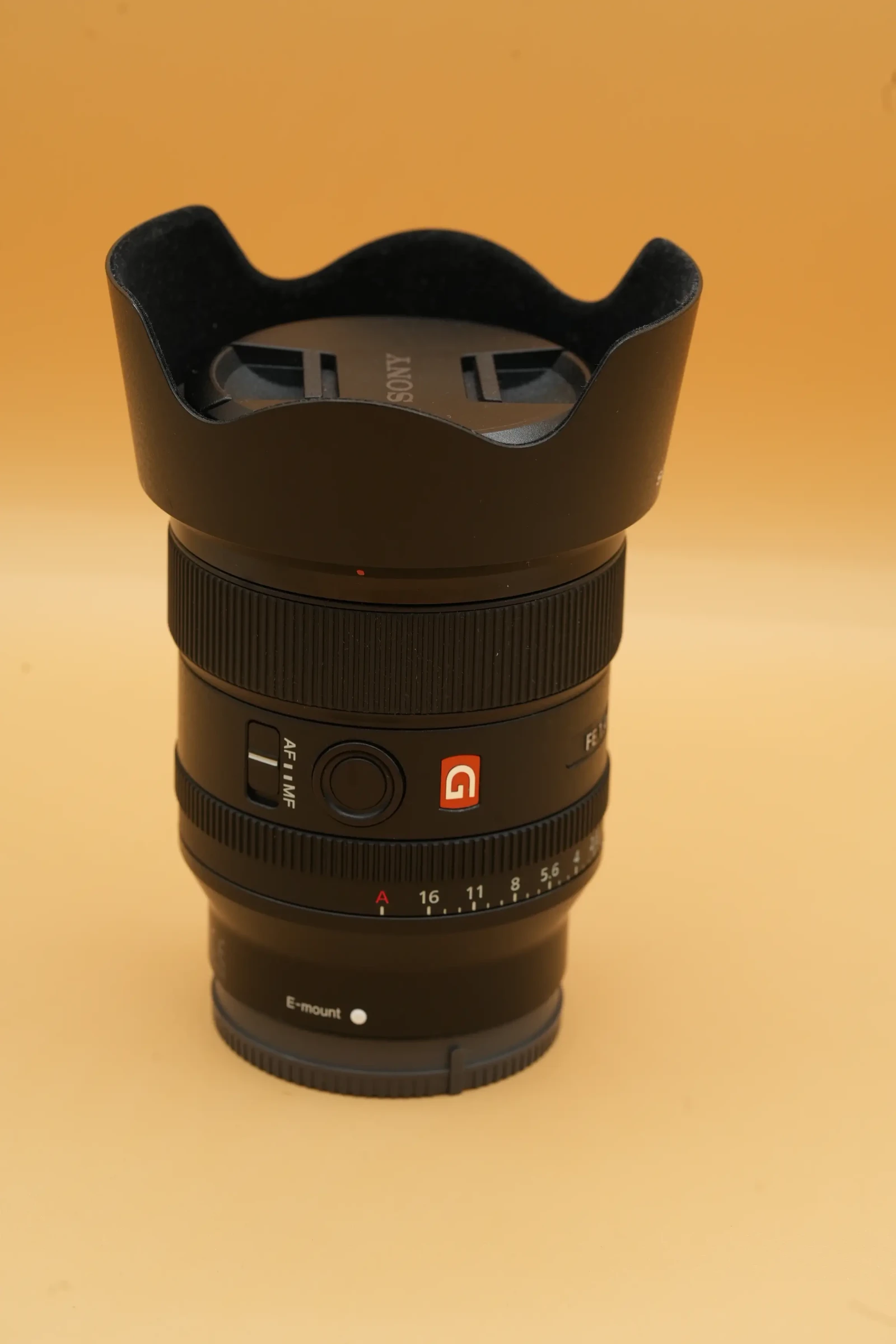 Sony FE 24mm f/1.4 GM - Photo 1 sur 4