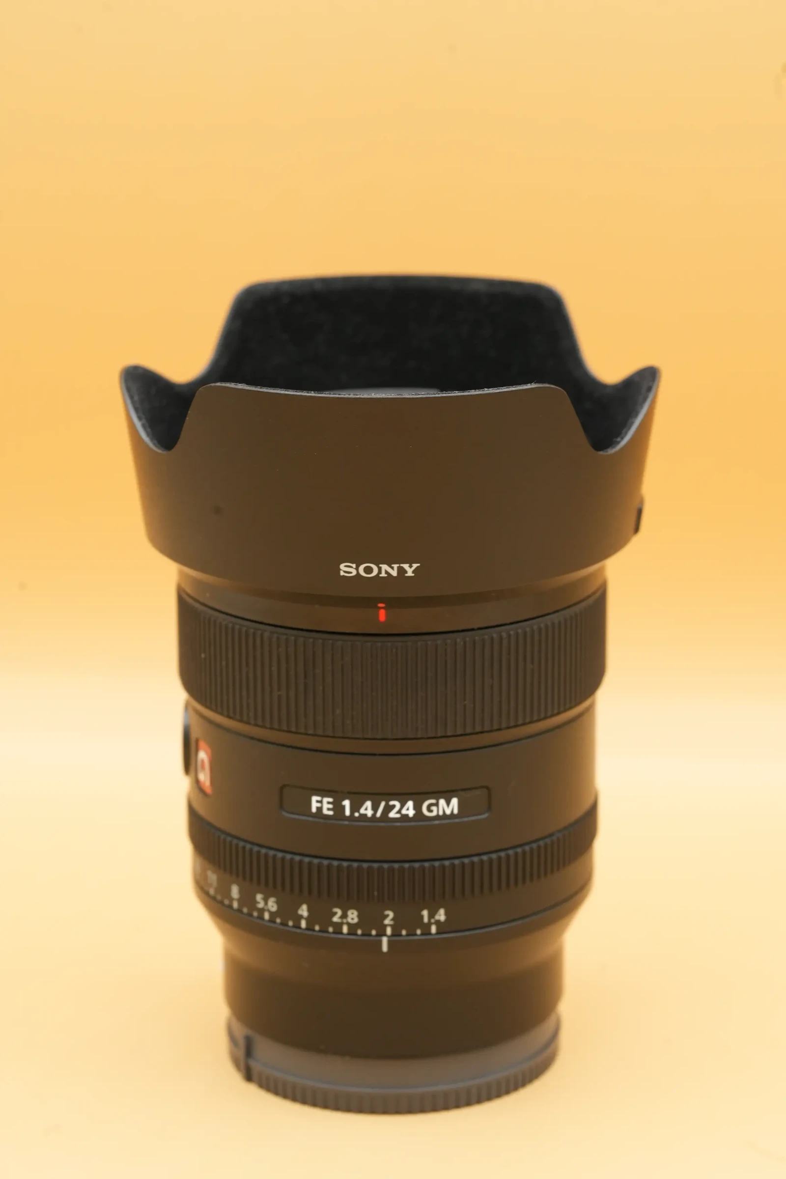 Sony FE 24mm f/1.4 GM - Photo 3 sur 4