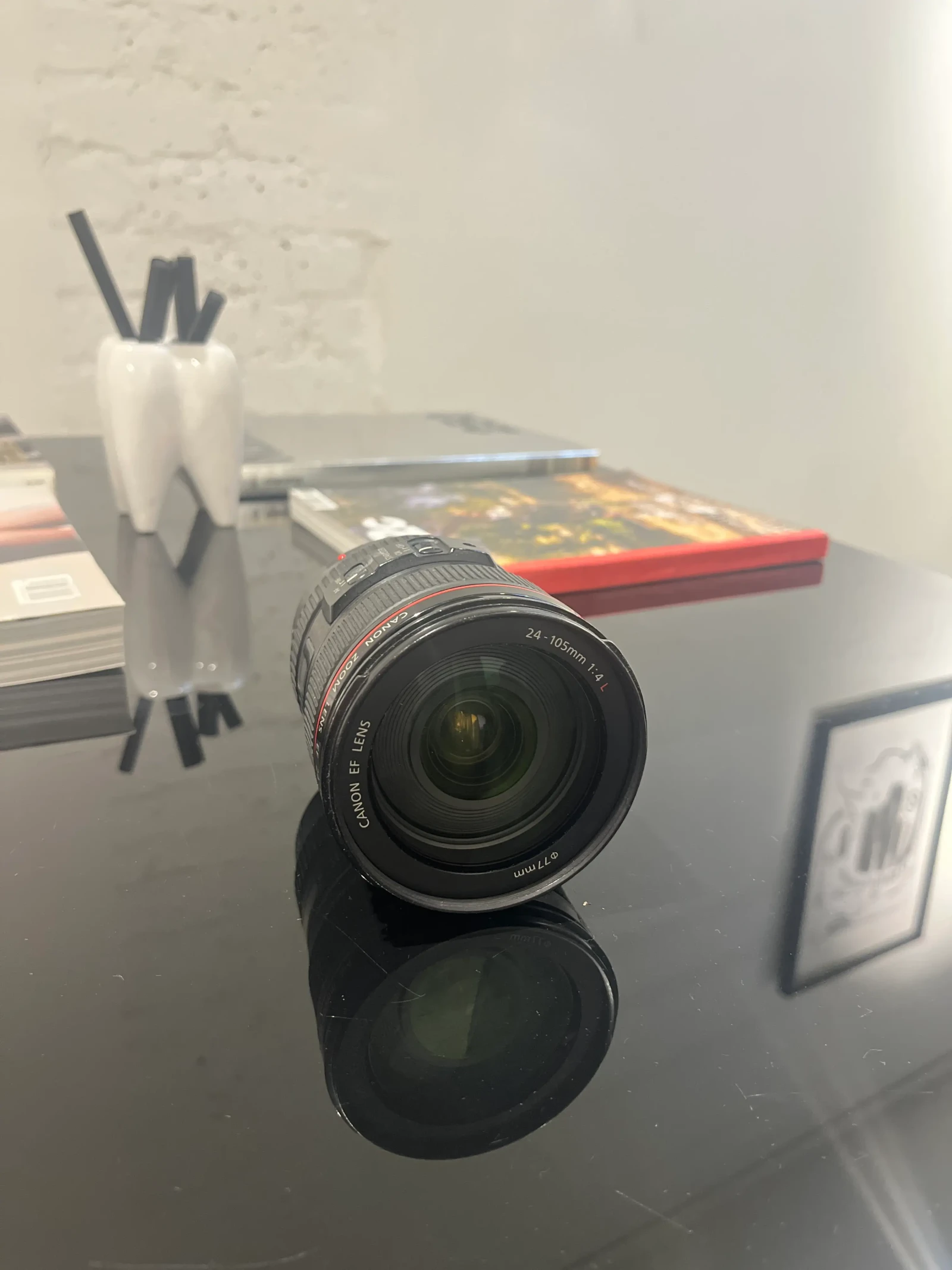Canon 24-105mm f/4 L IS USM - Photo 1 sur 2