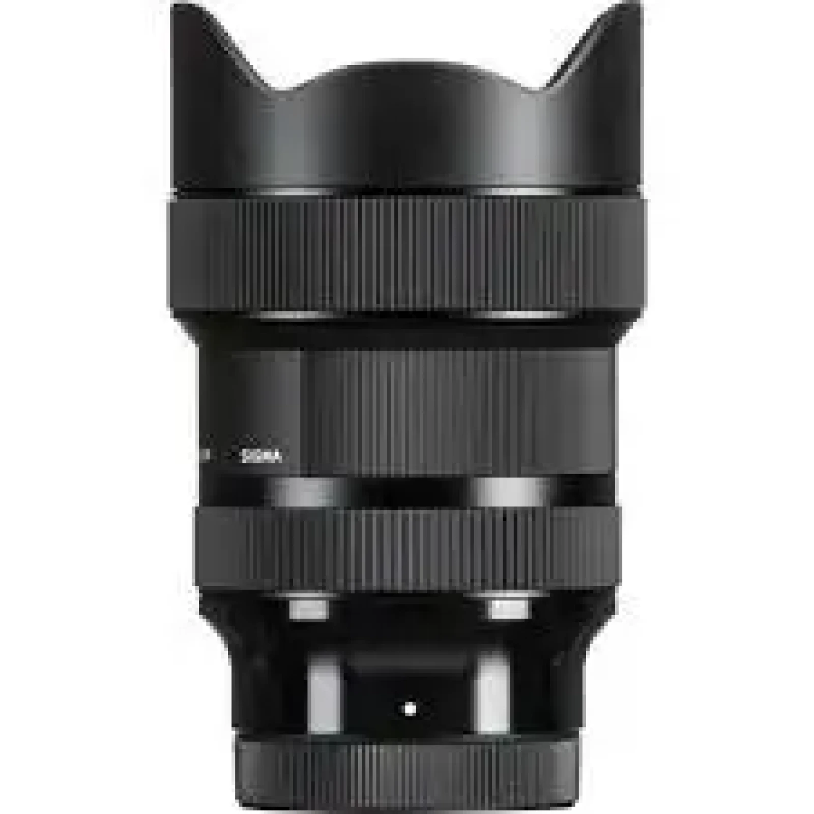 Sony Sigma 14-24mm F2.8 DG DN - Photo 1 sur 1