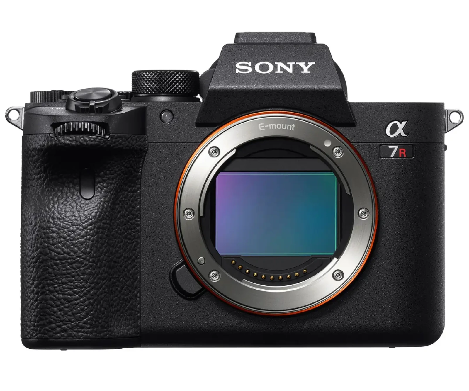 Sony A7 RIV - Photo 2 sur 3