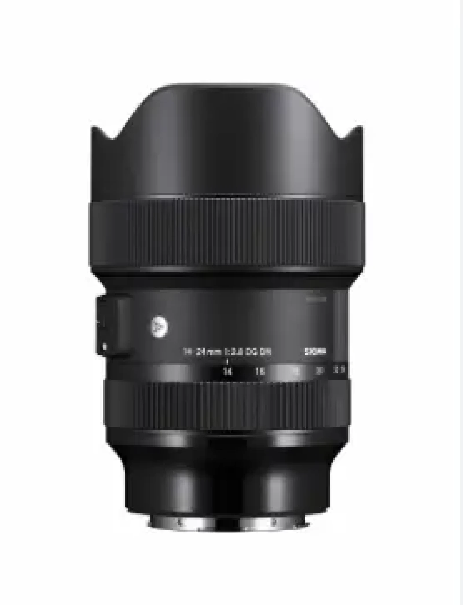 Sony Sigma 14-24mm F2.8 DG DN - Photo 1 sur 1