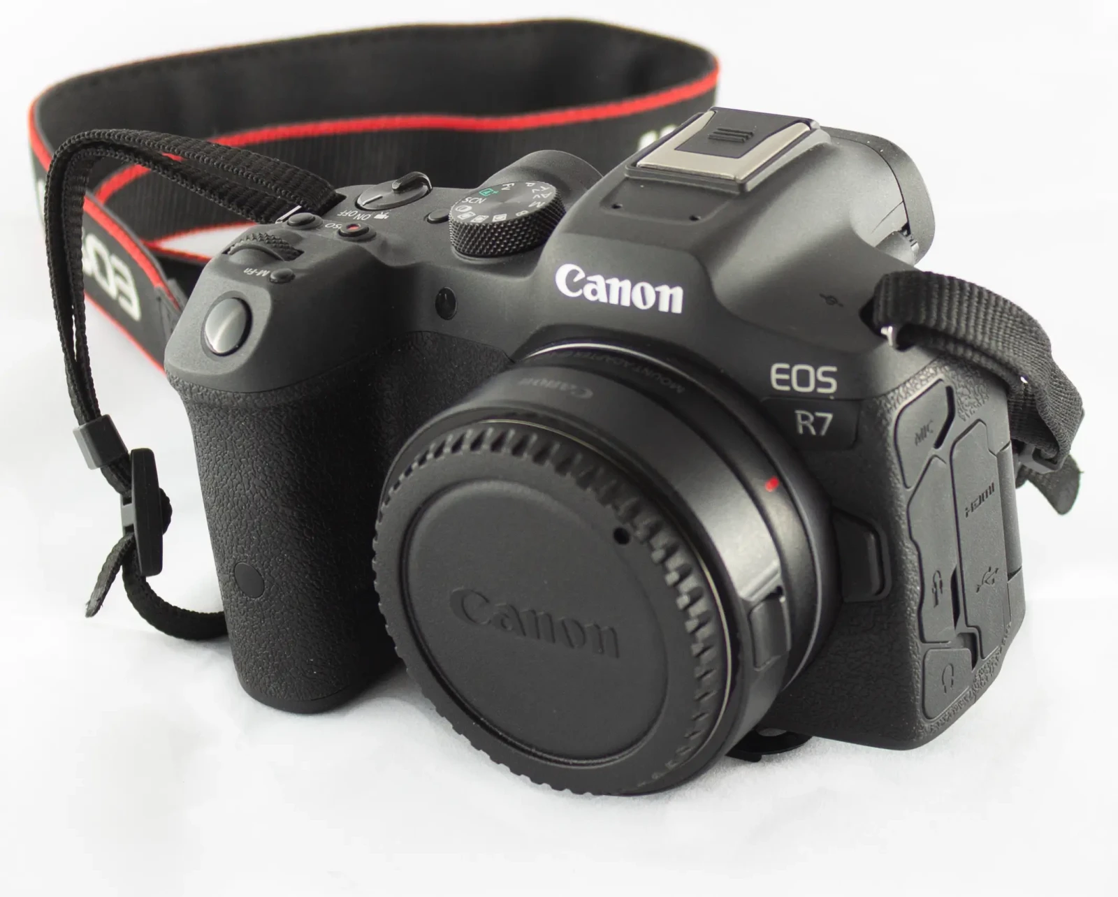 Canon EOS R7 - Photo 1 sur 1