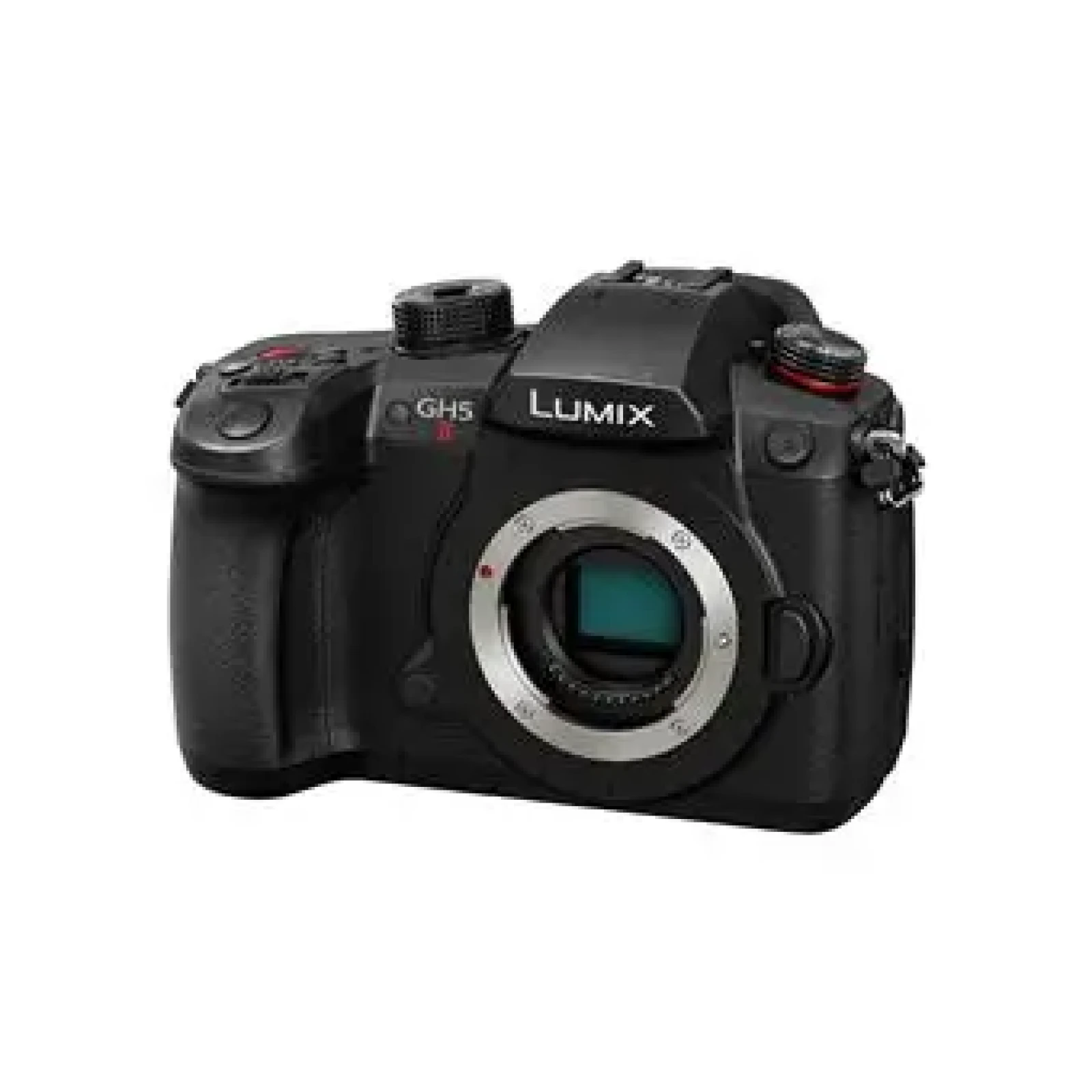 Panasonic LUMIX GH5 - Photo 1 sur 1