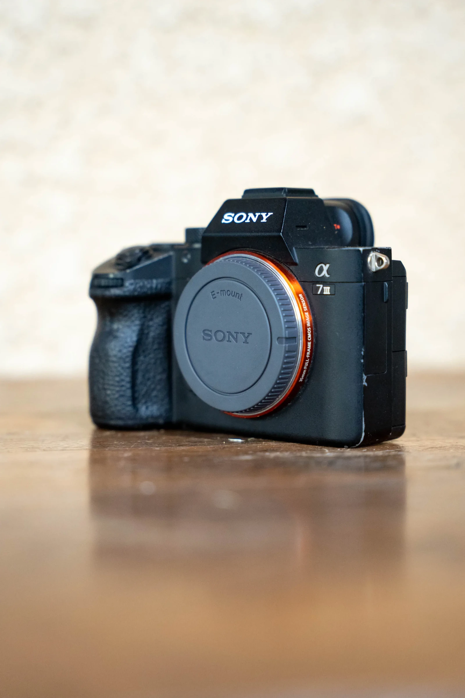 Sony Alpha 7 III (A73) - Photo 1 sur 2
