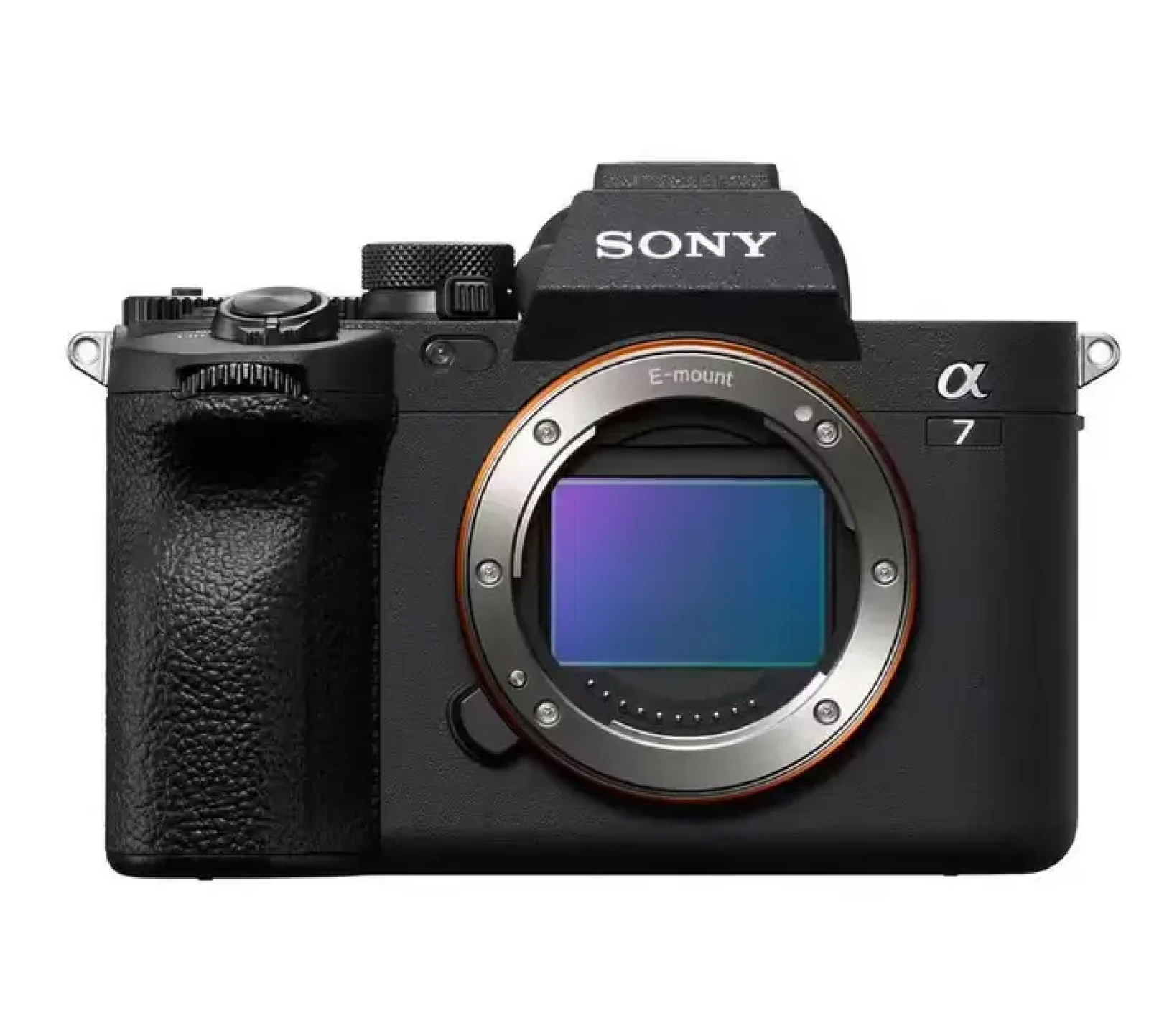 Sony Alpha 7 IV (A74) - Photo 2 sur 3