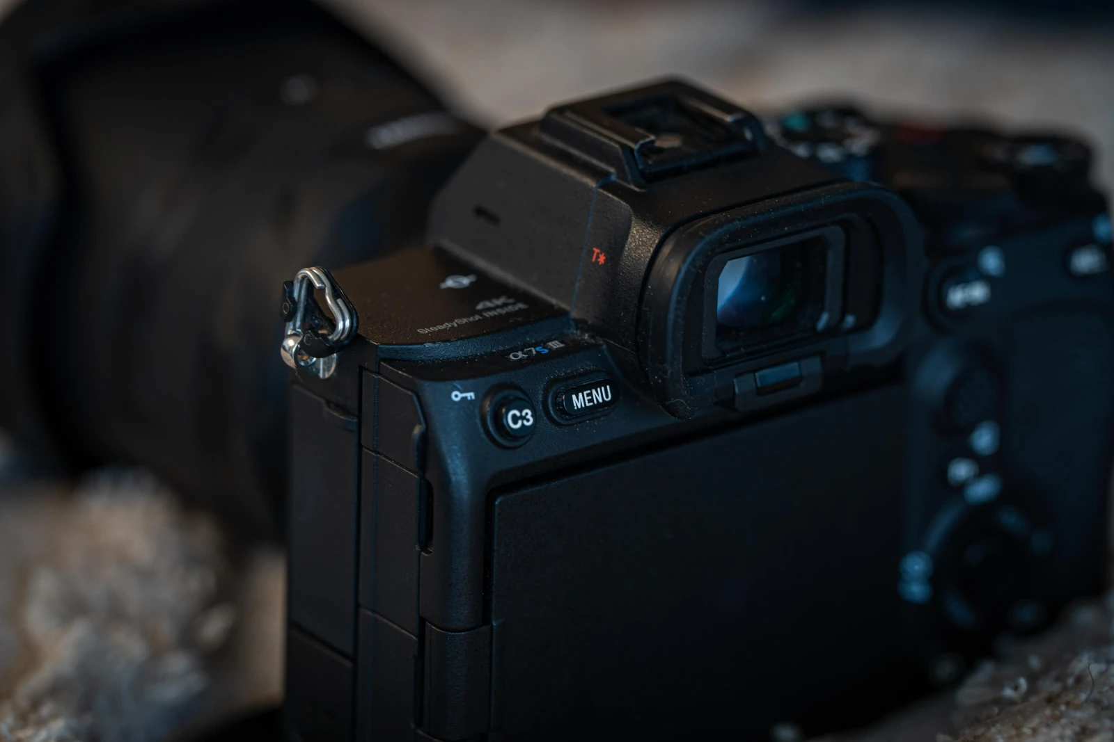 Sony Alpha 7S III (A7S3) - Photo 1 sur 3