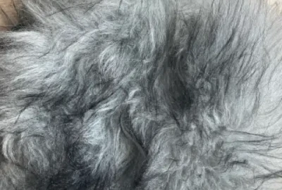 Location Rycote WS 4