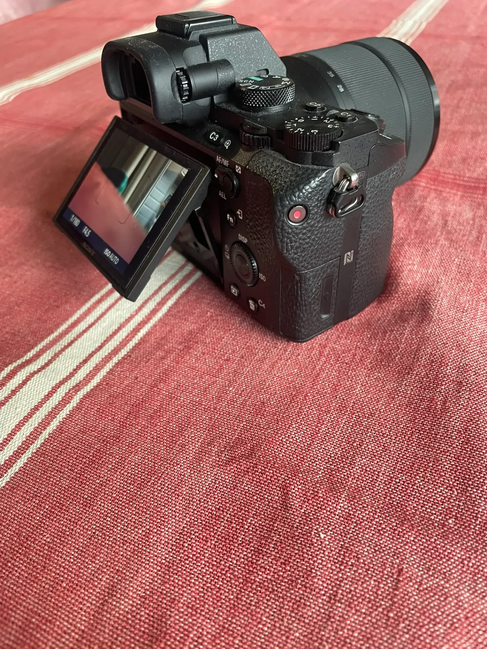 Sony Alpha 7S II (A7S2) - Photo 4 sur 5