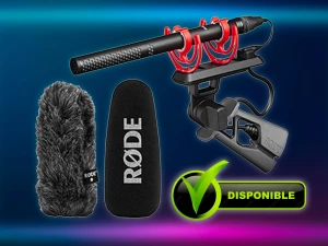 Location RODE NTG5 (Micro canon super cardioïde)