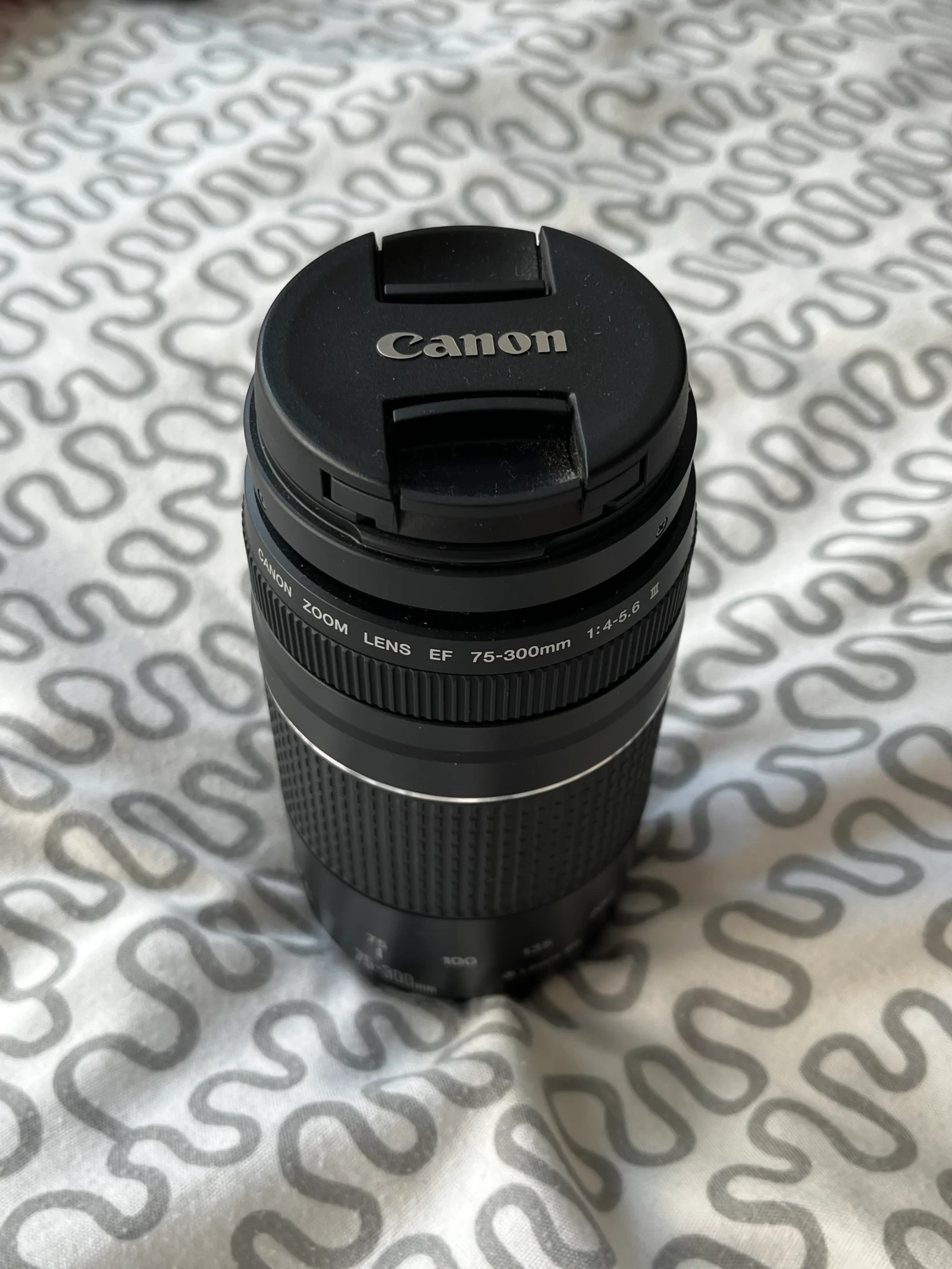 Canon EF 75-300mm f/4-5.6 III - Photo 1 sur 2