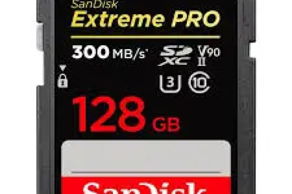 Location SanDisk Extreme Pro 128Go - Lightyshare