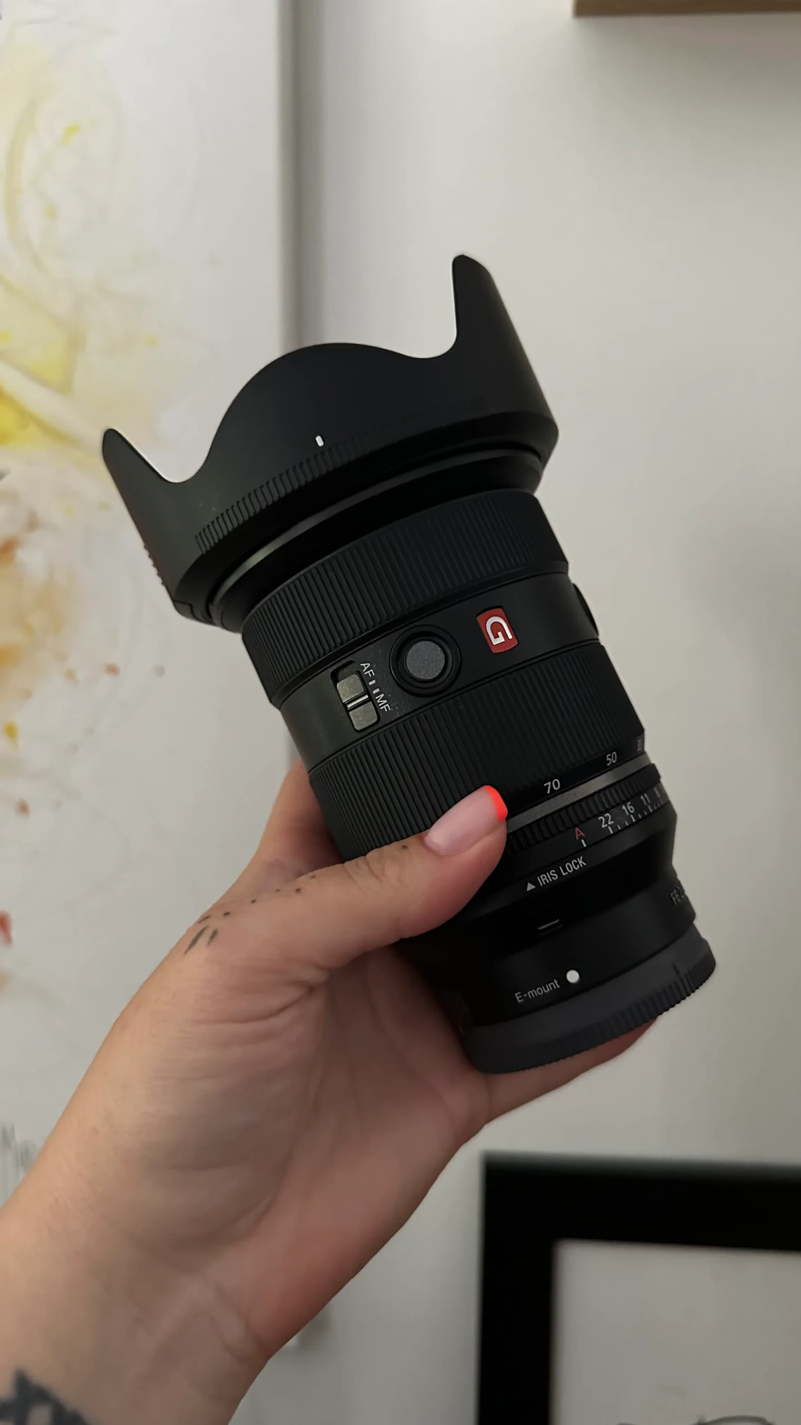 Sony FE 24-70mm F/2.8 G Master II - Photo 2 sur 2