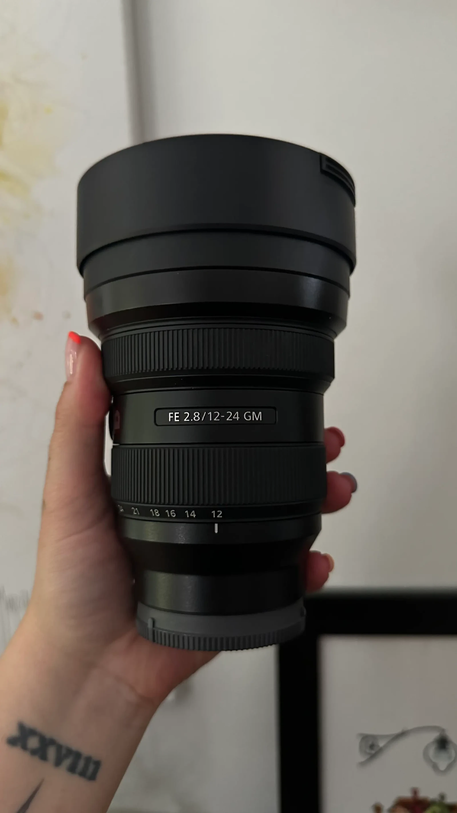 Sony FE 12-24mm f/2.8 GM - Photo 1 sur 1