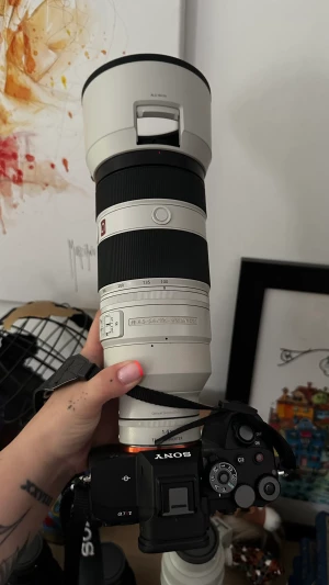 Location Sony FE 100-400mm f/4.5-5.6 GM OSS