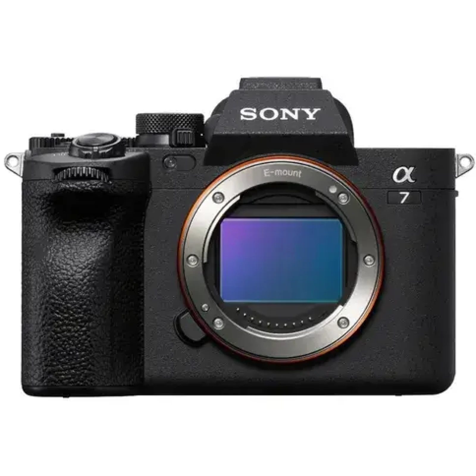 Sony Alpha 7 IV (A74) - Photo 1 sur 4